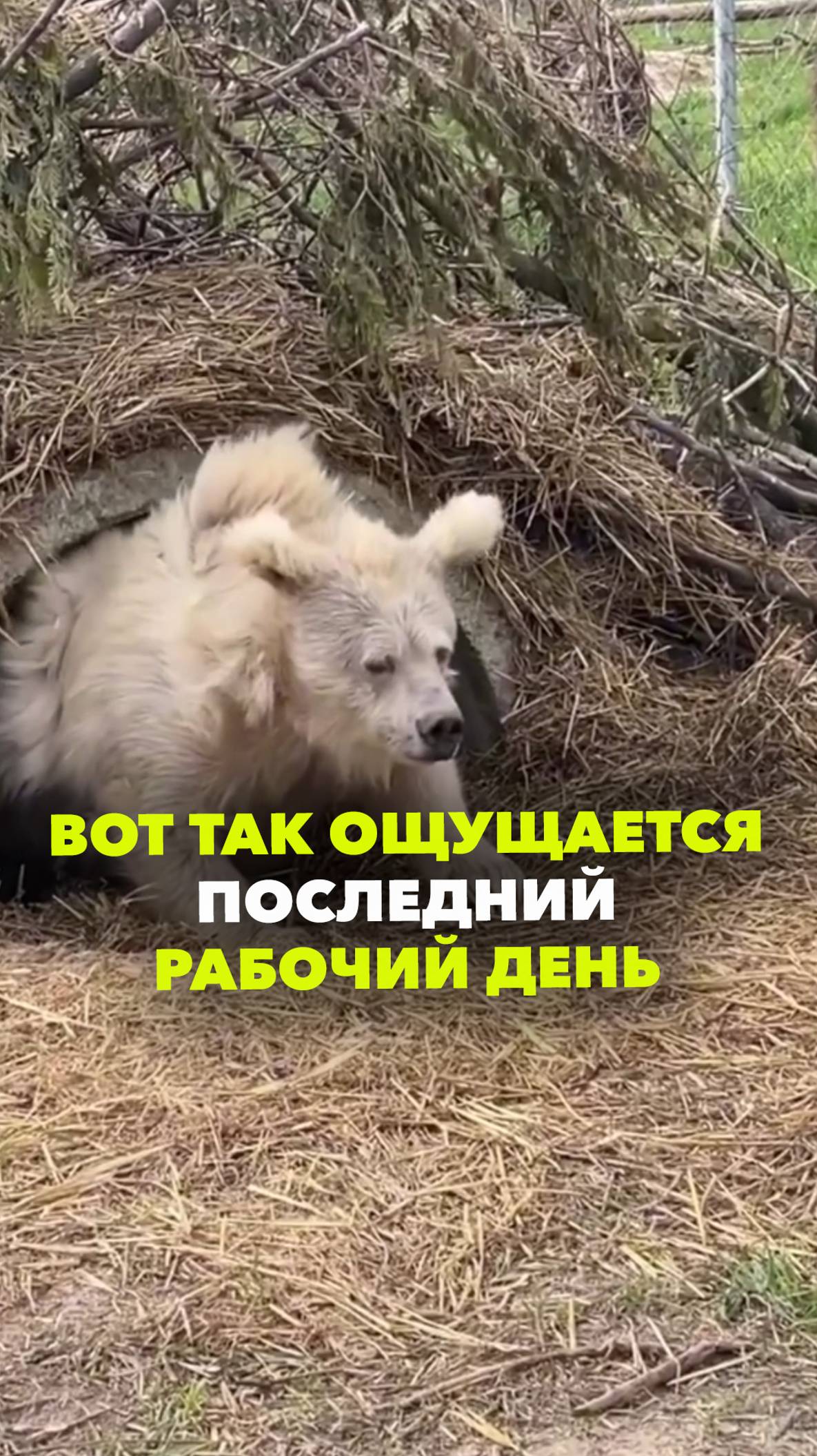 Вот так ощущается последний рабочий день. А как ваши ощущения в пятницу 13?