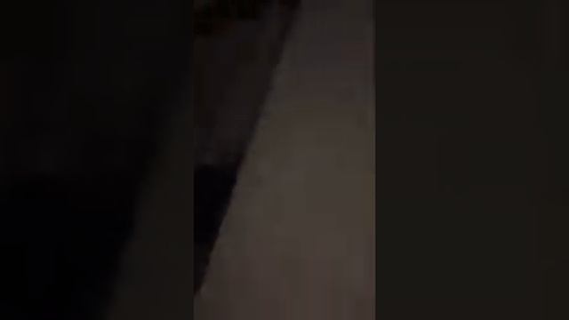 Ремонт дверного замка Crit - неисправность собачки замка/Door lock repair