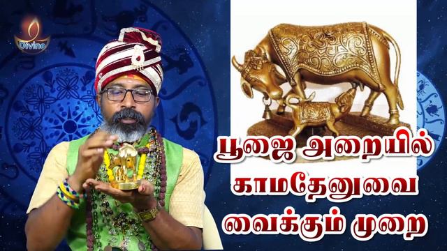 kamadhenu pooja at home கேட்டதை கொடுக்கும் காமதேனு பூஜை