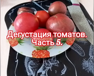 Дегустация томатов. Часть 5.
