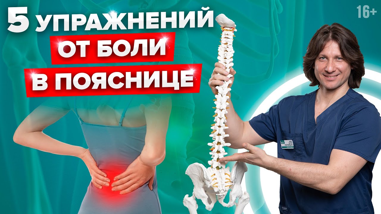 Почему болит поясница? Эффективные упражнения от боли в пояснице