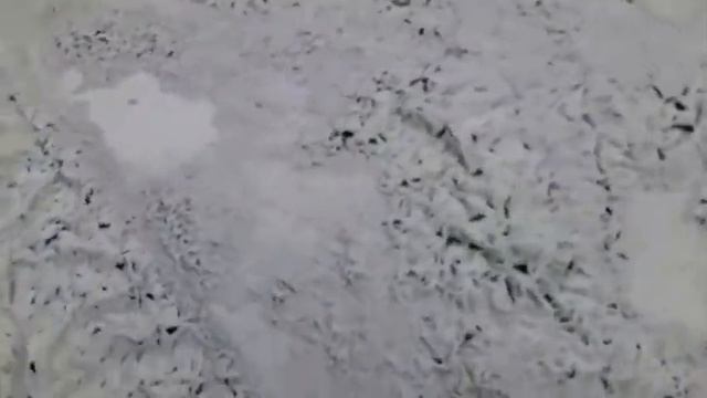 Смываем краску с металла при помощи химии "краски нет" смотреть онлайн