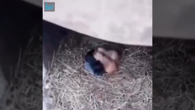 Чужих детей не бывает. смотреть онлайн