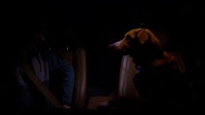 Пес под прикрытием — Русский трейлер (2021)