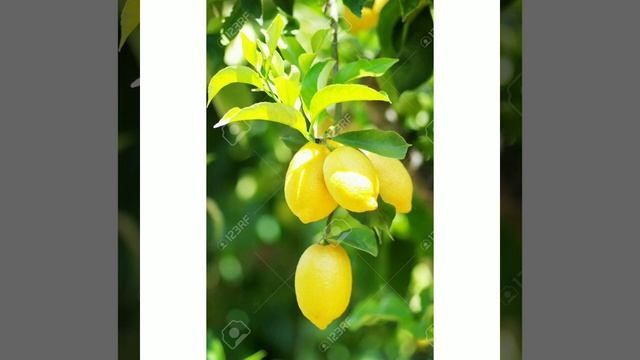 Kitchen tips смотреть онлайн