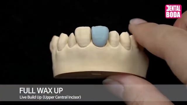 Waxup.моделирование из воска Резец