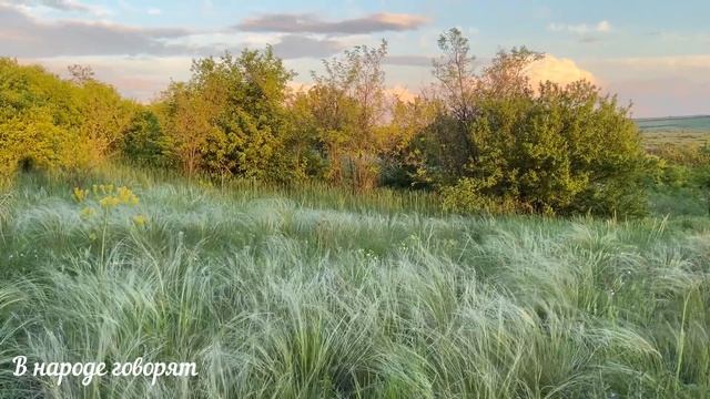 Приметы с полотенцем: мыть пол, вешать на дверь, что значит, если украли.Народные приметы и поверья