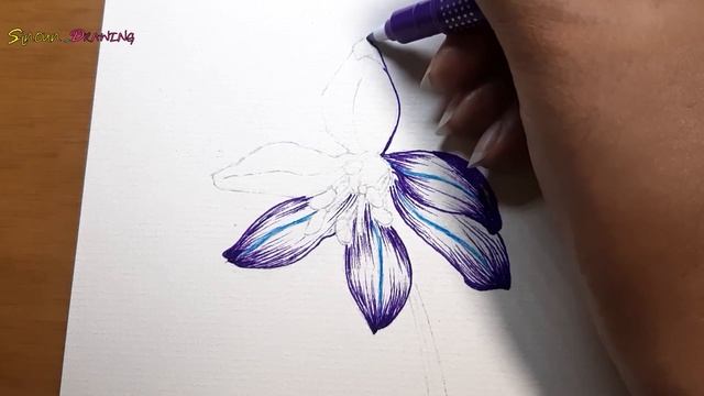 How to draw Scilla Siberica Flowers with Colors | Sinoun Drawing смотреть онлайн