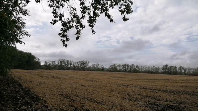 Релаксация. Природа говорит колким дождём и ветром.Звуки дают покой и умиротворение. смотреть онлайн