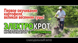 Первое окучивание картофеля, великая весенняя сушь!