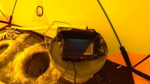 Открытие зимней рыбалки, полная палатка корюшки / Зимняя рыбалка на Сахалине