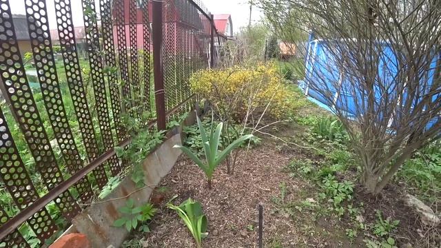 ВЛОГ Провожающие ? / Как готовят грунт / Дакар и Женька / Ну вот и Москва ? 4 мая 2019 г. смотреть онлайн