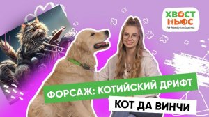 Собака-стоматолог, коты-пожарные, штрафы за ненадлежащее содержание и другие новости «Хвост Ньюс»#69