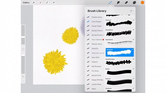Procreate flowers brushes. Рисуем цветы в Procreate: подсолнух, роза, одуванчик смотреть онлайн