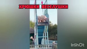 НОВАЯ ПОДБОРОЧКА ПРИКОЛОВ