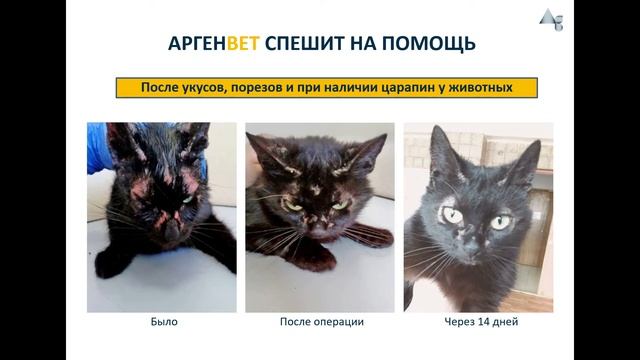 Зоогигиеническое средство АргенВет с наносеребром.