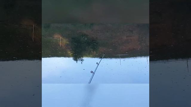 Поплавочная рыбалка КАК РАНЬШЕ!!! смотреть онлайн