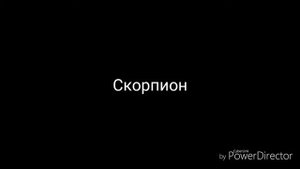 Какая твоя песня по знаку зодиака?