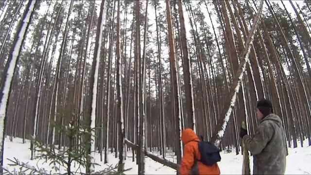 Ломаем гнилое дерево. Цирковые дровосеки на Пешей прогулке 29.10.2016