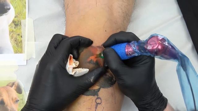 собака/dog (time lipse) смотреть онлайн