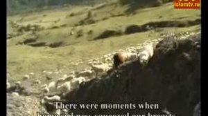 Лоам - Нана лаьтта ( Ингушетия )