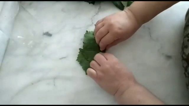 Виноградные листья для Долмы-Заготовка на Зиму-два Способа.
