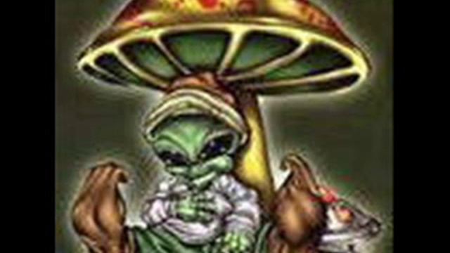 Static Flow-Subconscious Safari смотреть онлайн