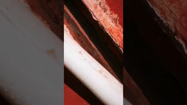 Оценка состояния межпанельного шва