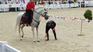 Чемпионат мира по джигитовке.