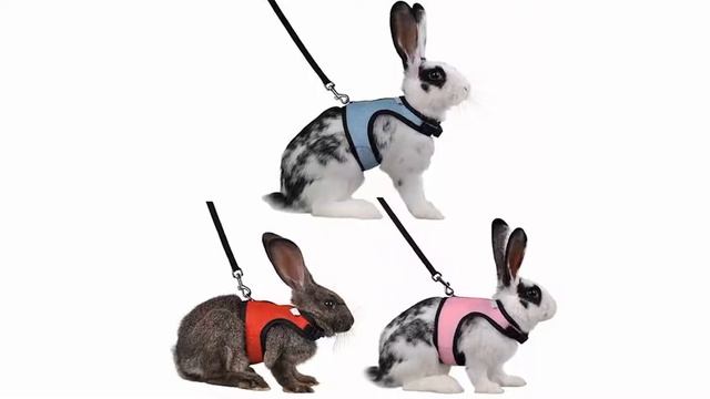 Шлейка Для Кролика Купить Алиэкспресс смотреть онлайн