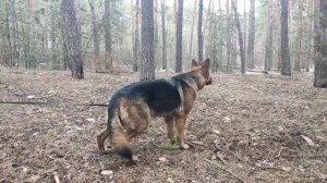 НО всегда на страже