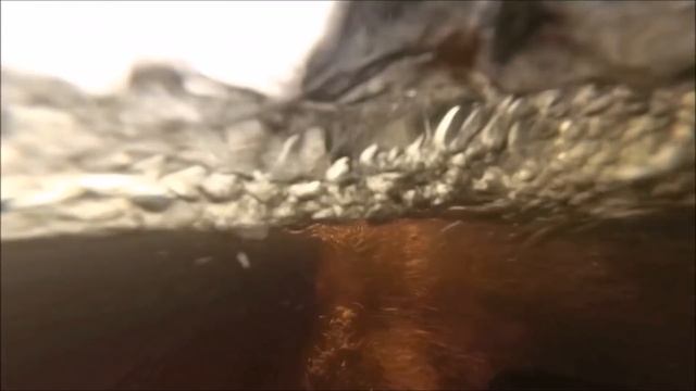 Самодельный мини-трактор. Тест трактора с навешенным самодельным экскаватором на ходовые качества. смотреть онлайн