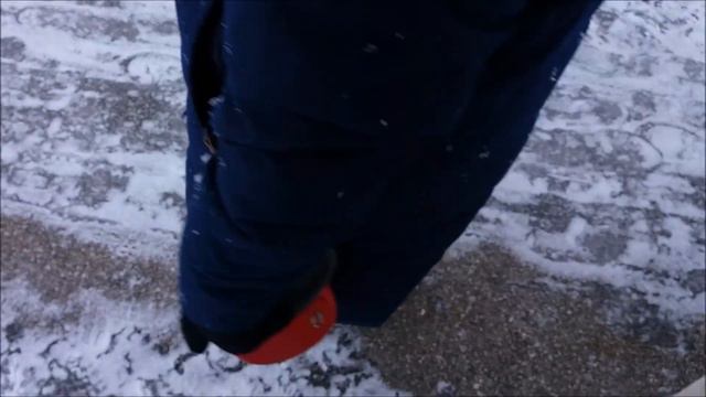 Самая спортивная собака!