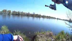 Твичинг. Мои любимые воблеры для ловли окуня.