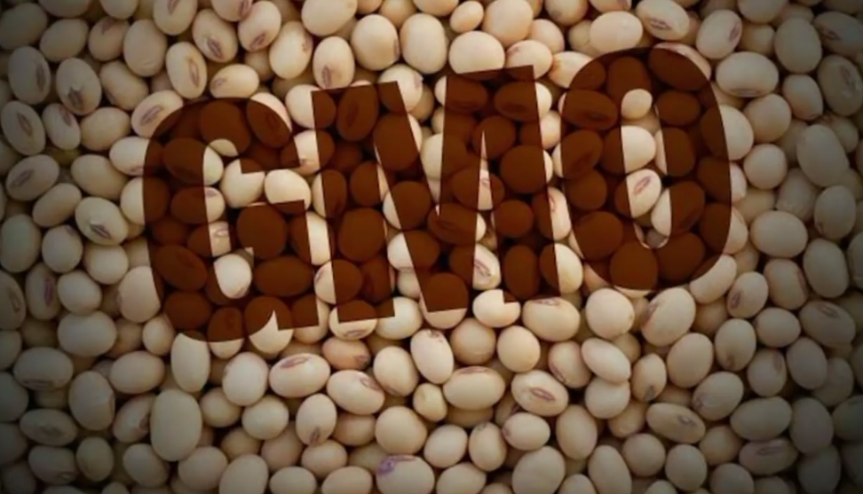 Интересные Факты. Самые известные гмо продукты