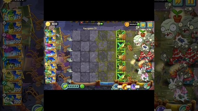 Какое растение лучше: Васаби Кнут или Бамбуковый Спартанец? смотреть онлайн