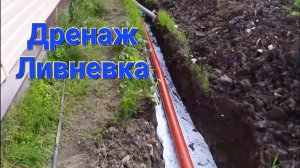 Дренаж. Ливневка.