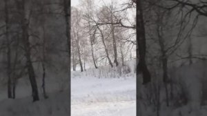 сноумакс Т200