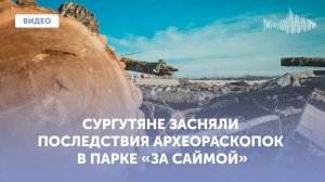 Сургутяне засняли масштабную вырубку деревьев в парке «За Саймой»