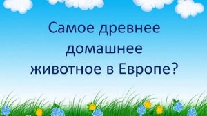 "Вам, всезнайки: викторина для детей младших и старших классов".