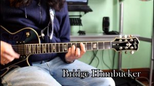 Seymour Duncan Sentient/Pegasus Set: Coil Split Sounds