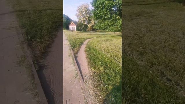 После своей тренировки, любуюсь акацией смотреть онлайн