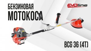 Бензиновая мотокоса EVOline BCG 36 4T