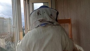 Улей на балконе.Пчелы в городе.Мед есть.bee