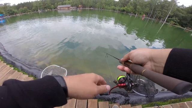 Рыбная Ферма Фишпарк. Форель. смотреть онлайн