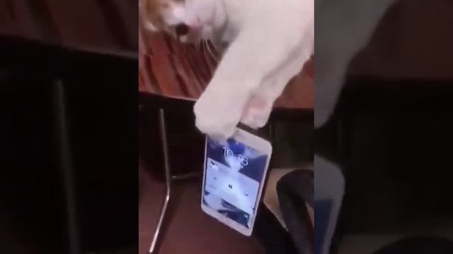 Остросюжетный триллер