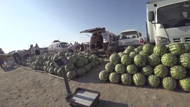 BOGOT QOVUN, TARVUZ VA GURVAK BOZORI. #UZBEKISTON #УЗБЕКИСТАН #XORAZM  #BOGOT
