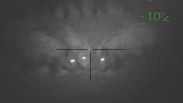 Ночная охота на кабана смотреть онлайн