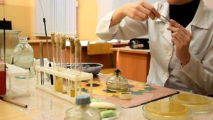 Приготовление мазка из культуры, выросшей на ПЛОТНОЙ питательной среде