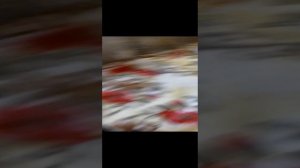 влог с Лизой